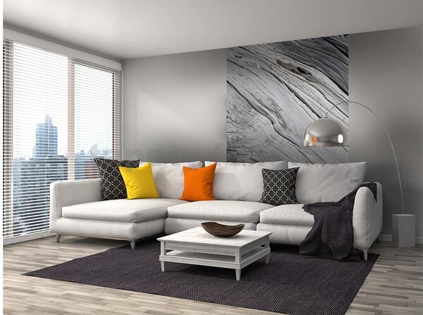 Vliesové fototapety, rozměr 150 cm x 250 cm, textura stromu, DIMEX MS-2-0160