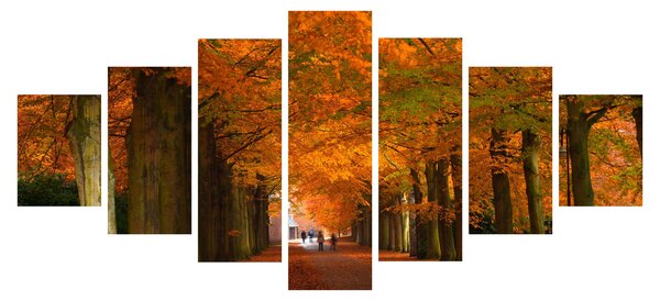 Obraz - Alej stromů na podzim (210x100 cm)