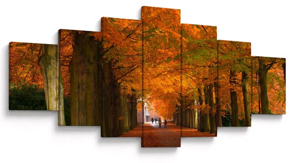 Obraz - Alej stromů na podzim (210x100 cm)