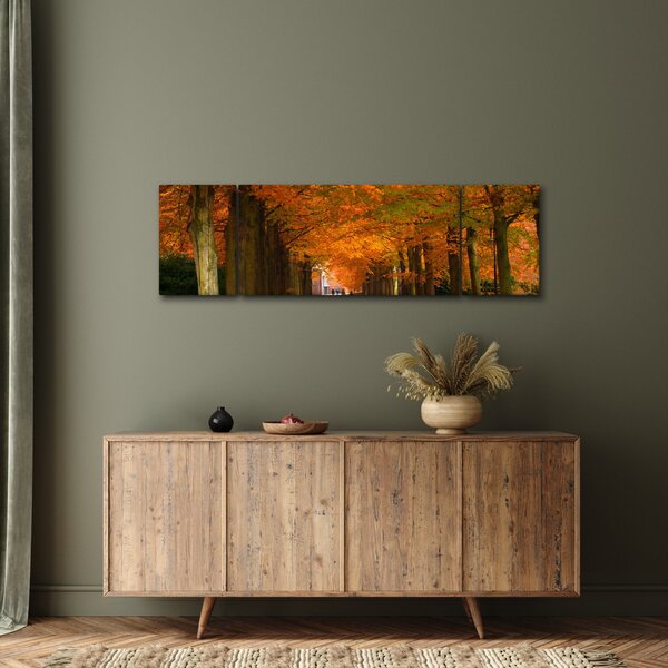 Obraz - Alej stromů na podzim (170x50 cm)