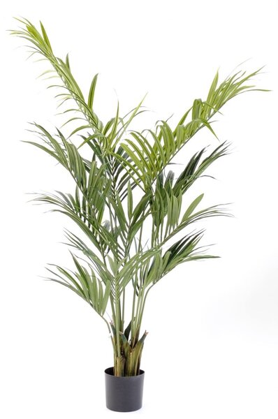 Umělá Kentia palma, 190cm