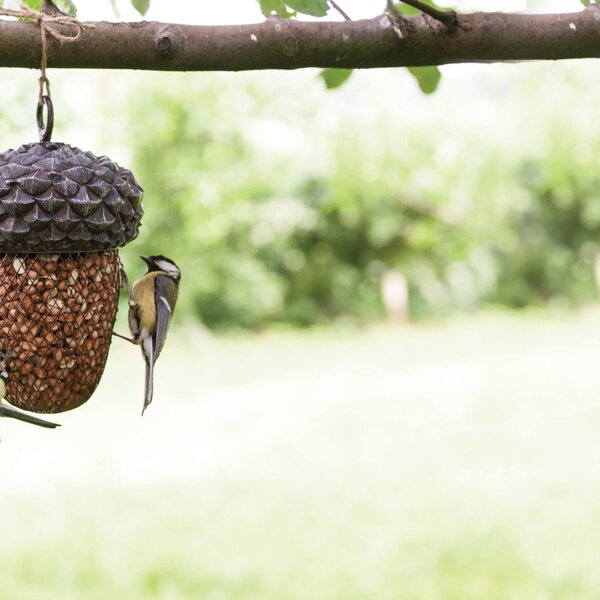 Závěsné krmítko pro ptáky Acorn, 30x13,5 cm, kov/polyesterová pryskyřice, šedá