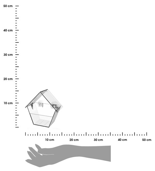 Krmítko pro ptáky s přísavkami Clear, 15x15x9 cm, plast, transparentní
