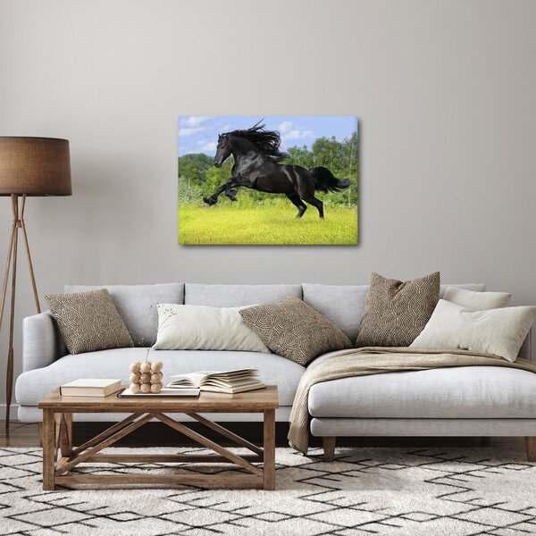 Obraz - Kůň s rozevlátou hřívou (70x50 cm)