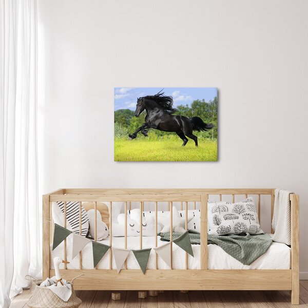Obraz - Kůň s rozevlátou hřívou (70x50 cm)