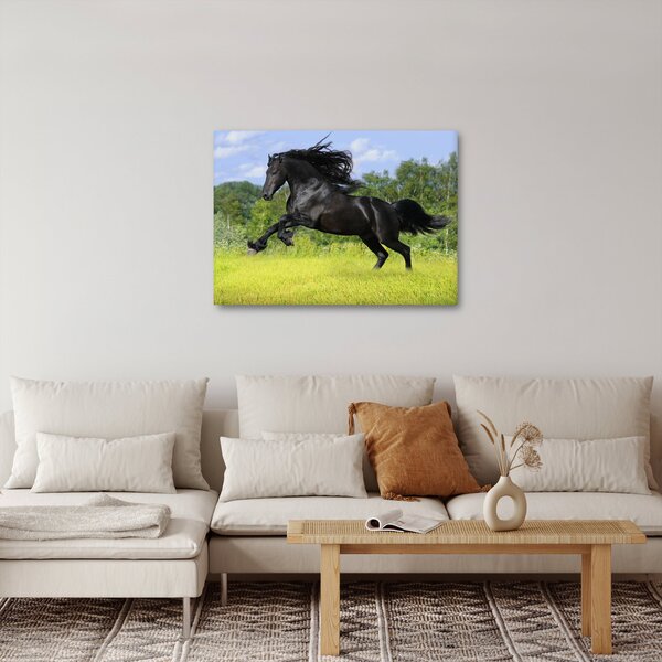 Obraz - Kůň s rozevlátou hřívou (70x50 cm)