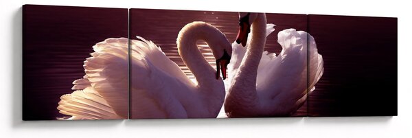 Obraz - Labutě na jezeře (170x50 cm)