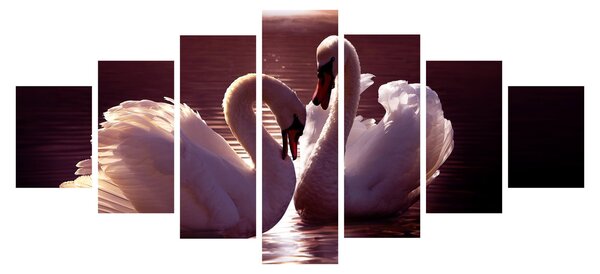 Obraz - Labutě na jezeře (210x100 cm)