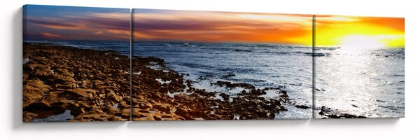 Obraz - Racek letící nad pobrežím (170x50 cm)