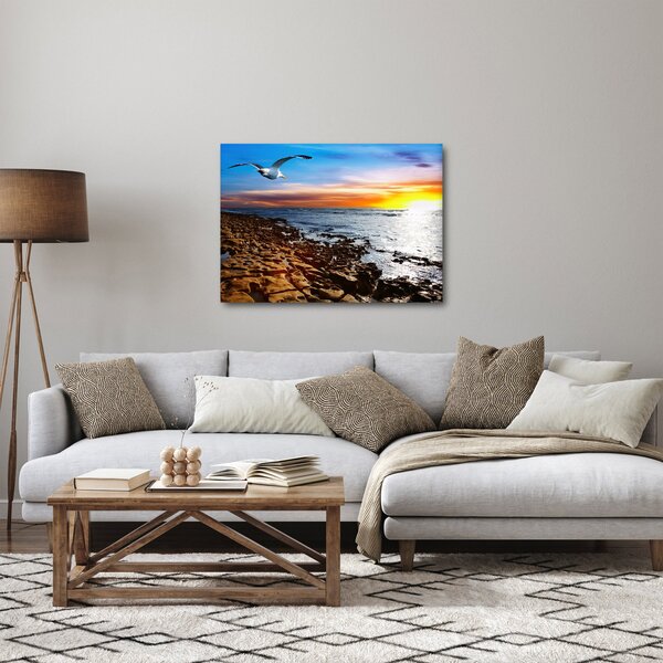 Obraz - Racek letící nad pobrežím (70x50 cm)