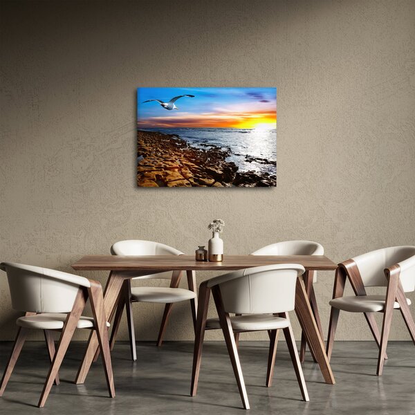 Obraz - Racek letící nad pobrežím (70x50 cm)