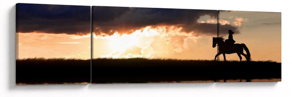 Obraz - Jezdec na koni při západu slunce (170x50 cm)