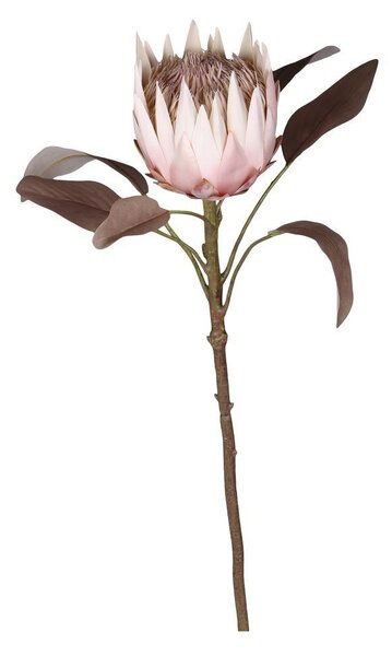 Dekorace květina Protea - 66 cm - Chic Antique
