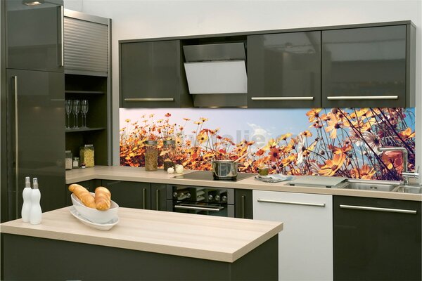 Samolepící tapety za kuchyňskou linku, rozměr 180 cm x 60 cm, jarní louka, DIMEX KI-180-123