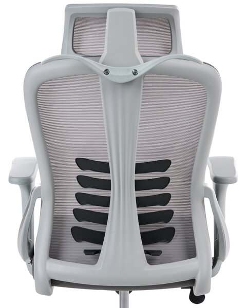 Kancelářská židle ERGONOX Šedá