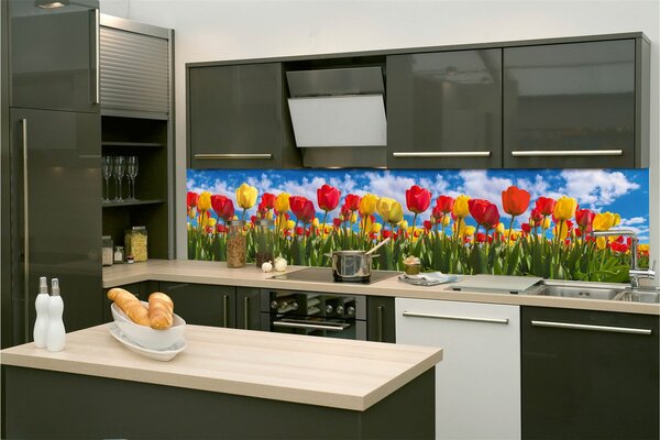 Samolepící tapety za kuchyňskou linku, rozměr 260 cm x 60 cm, barevné tulipány, DIMEX KI-260-131
