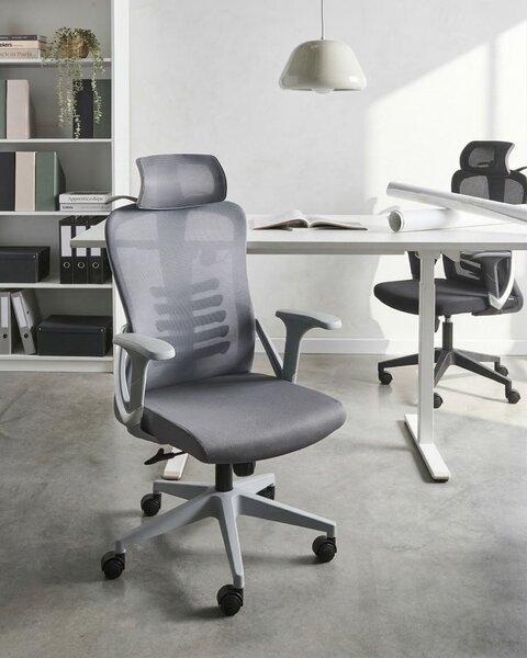 Kancelářská židle ERGONOX Šedá
