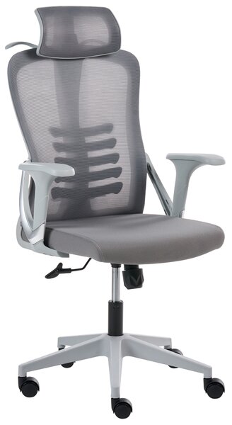 Kancelářská židle ERGONOX Šedá