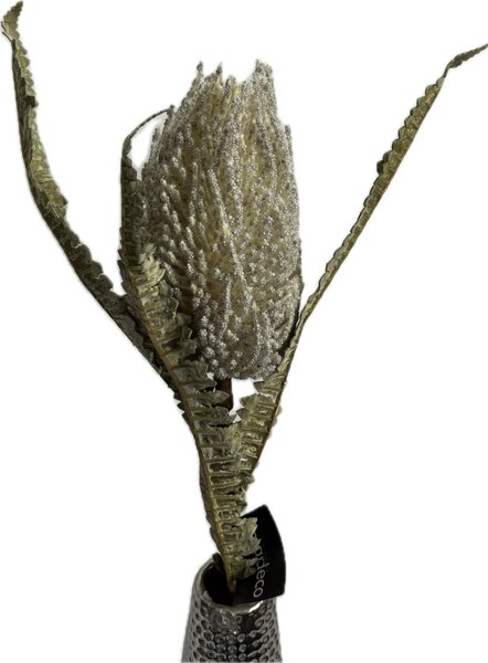 Banksie - umělá květina šedá 65cm