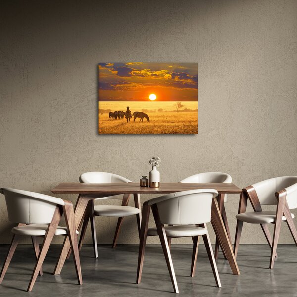 Obraz - Zebry se západem slunce (70x50 cm)
