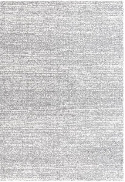 Kusový koberec Delgardo 496-01 grey - šedý - 80x150