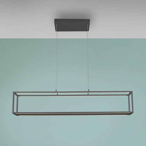 Paul Neuhaus LED závěsné světlo Conni, černá, 130 cm,, stmívatelný, Černá, Obývací pokoj / jídelna, Hliník, Moderní