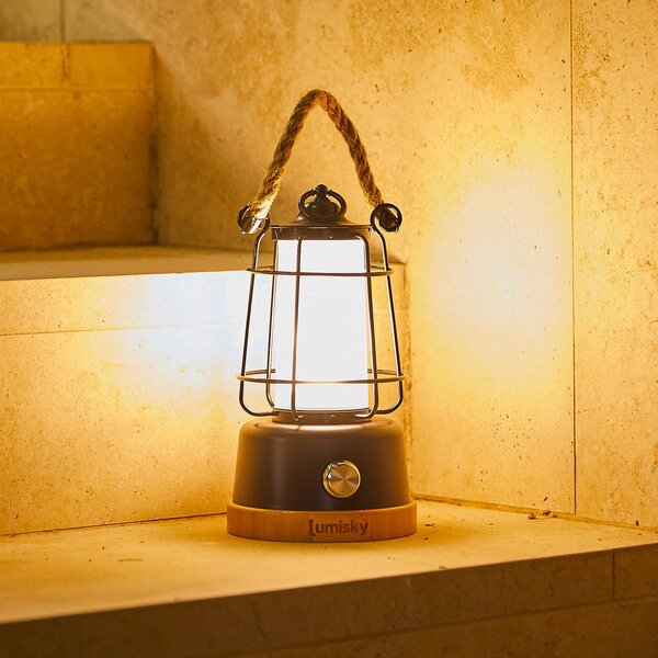 Lumisky LED stolní lampa Wildy na akumulátor, černá/hnědá, výška 23 cm, kovová, stmívatelný, Černá, kov