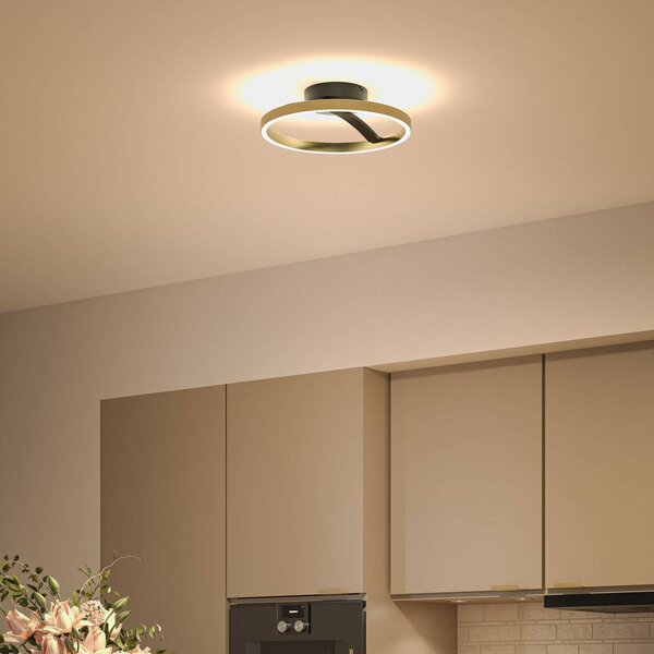Paulmann LED stropní svítidlo Melira, černá/zlatá, Ø 38 cm, kov, stmívatelný, Černá, Obývací pokoj / jídelna, kov, Moderní