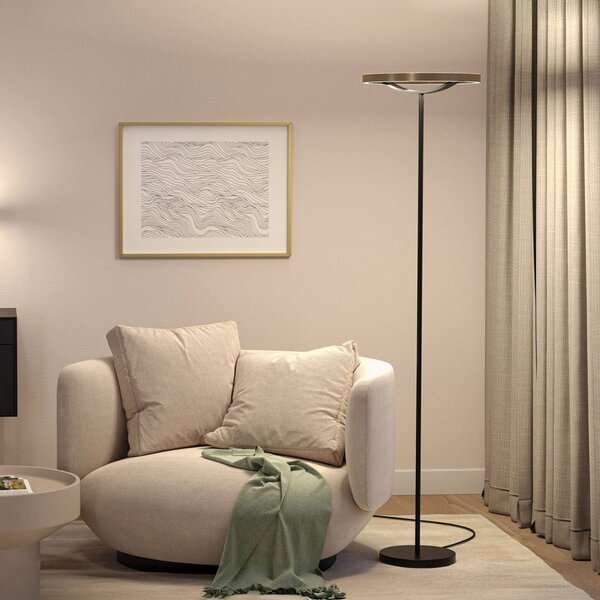 Paulmann LED stojací lampa Melira, černá/zlatá, výška 157 cm, stmívatelný, Černá, Obývací pokoj / jídelna, kov, Moderní