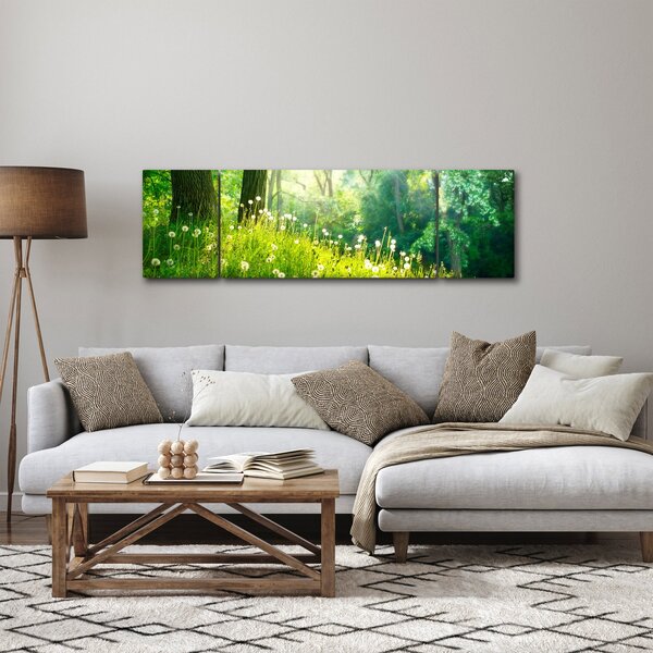 Obraz - Magická louka plná pampelišek (170x50 cm)