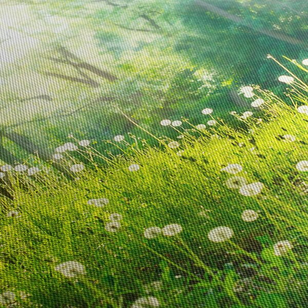 Obraz - Magická louka plná pampelišek (30x30 cm)