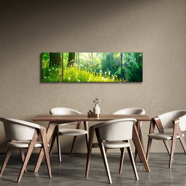 Obraz - Magická louka plná pampelišek (170x50 cm)