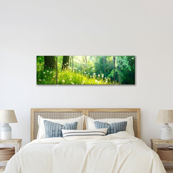 Obraz - Magická louka plná pampelišek (170x50 cm)