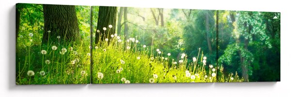 Obraz - Magická louka plná pampelišek (170x50 cm)