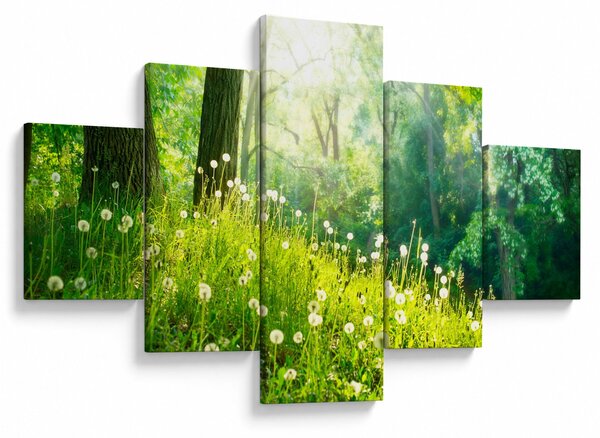 Obraz - Magická louka plná pampelišek (125x70 cm)