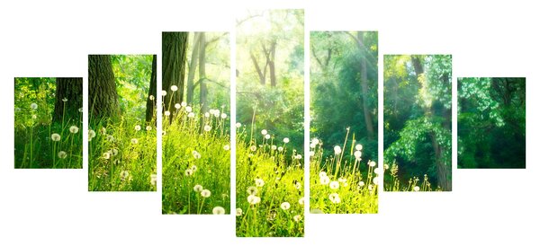 Obraz - Magická louka plná pampelišek (210x100 cm)