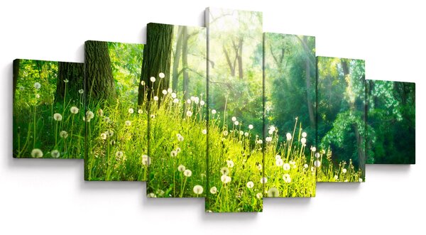 Obraz - Magická louka plná pampelišek (210x100 cm)