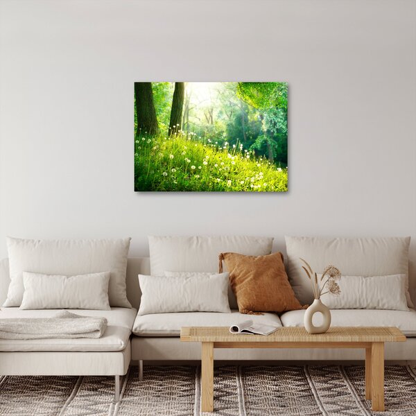 Obraz - Magická louka plná pampelišek (70x50 cm)