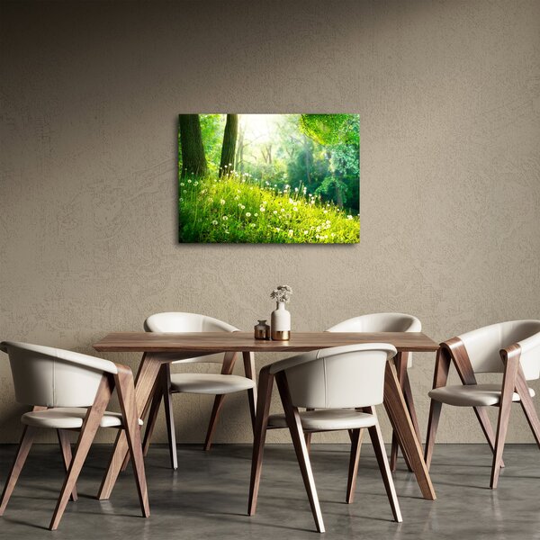 Obraz - Magická louka plná pampelišek (70x50 cm)