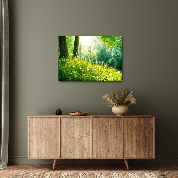 Obraz - Magická louka plná pampelišek (70x50 cm)