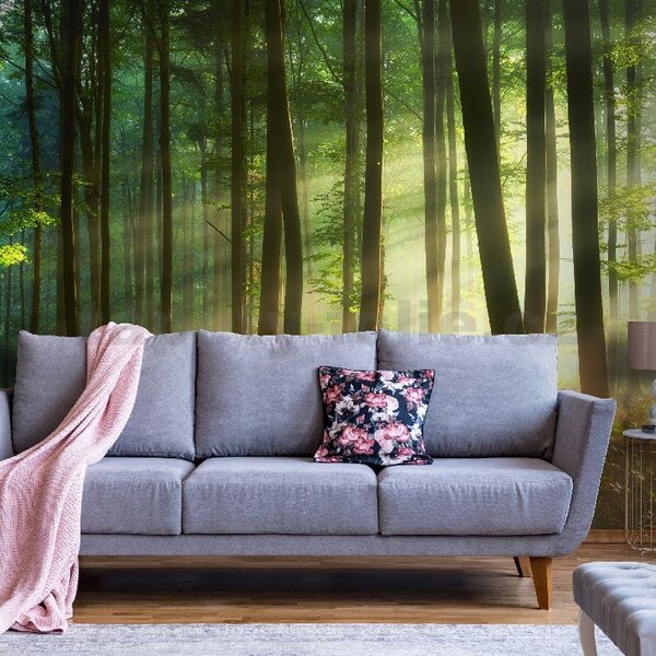 Vliesové fototapety 14578V8, rozměr 368 cm x 254 cm, svítání v lese, IMPOL TRADE