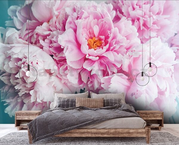 Vliesové fototapety 14586V8, rozměr 368 cm x 254 cm, pivoňky růžové, IMPOL TRADE