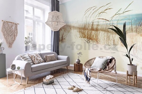 Vliesové fototapety 14596V8, rozměr 368 cm x 254 cm, stébla trávy na pláži, IMPOL TRADE