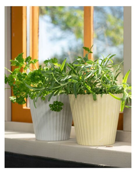 Obal na kvetináč Yodit Stripes White 14,5 cm Wikholm Form
