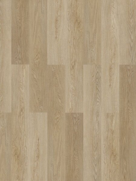 Experto SPC 50 Dub Bari 88065L-008, 2,2082m2