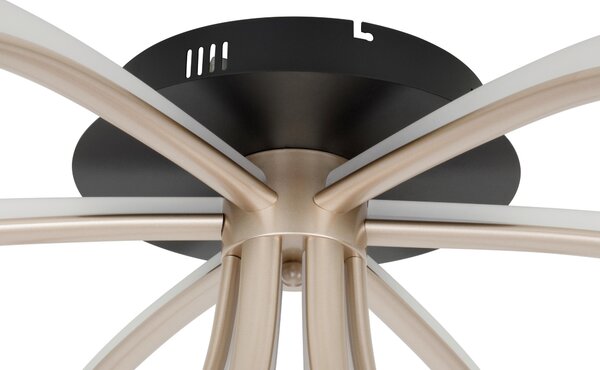 STROPNÍ LED SVÍTIDLO, 82/32 cm Dieter Knoll - Stropní svítidla
