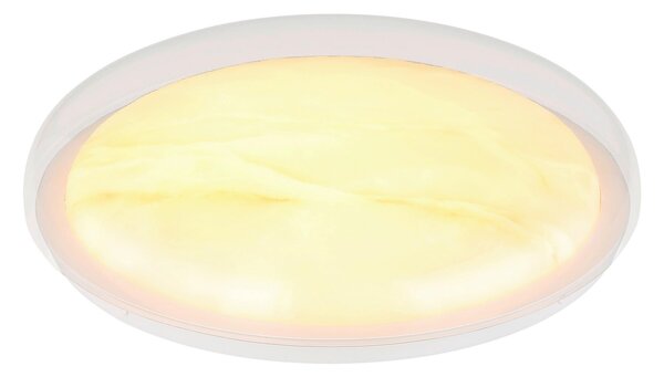 STROPNÍ LED SVÍTIDLO, 38,5/8 cm Globo - Online Only svítidla, Online Only