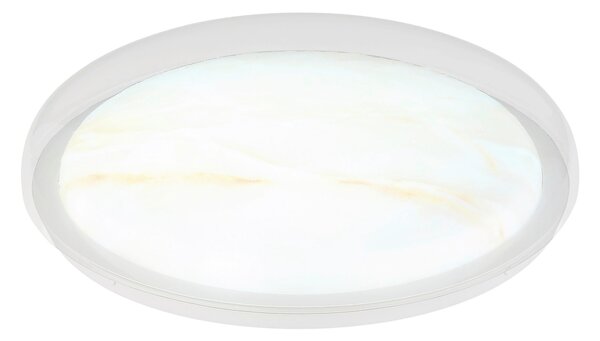 STROPNÍ LED SVÍTIDLO, 38,5/8 cm Globo - Online Only svítidla, Online Only