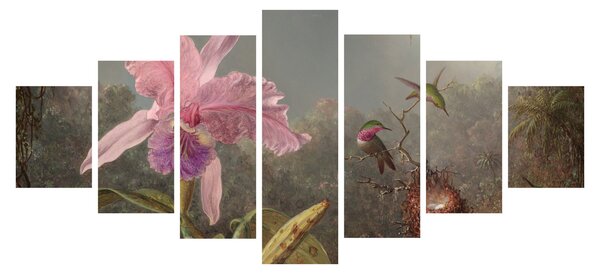 Obraz - Martin Johnson Heade, Cattleya Orchid and Three Hummingbirds, reprodukce (210x100 cm)
