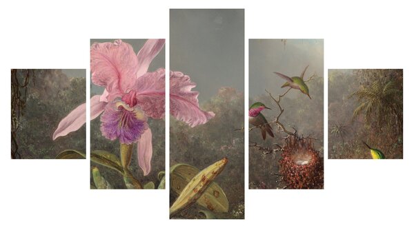 Obraz - Martin Johnson Heade, Cattleya Orchid and Three Hummingbirds, reprodukce (125x70 cm)